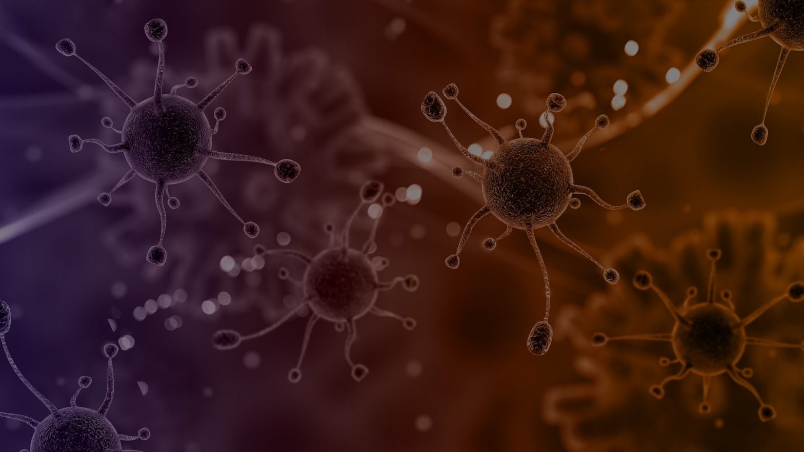 Corona virus particles zoomed in