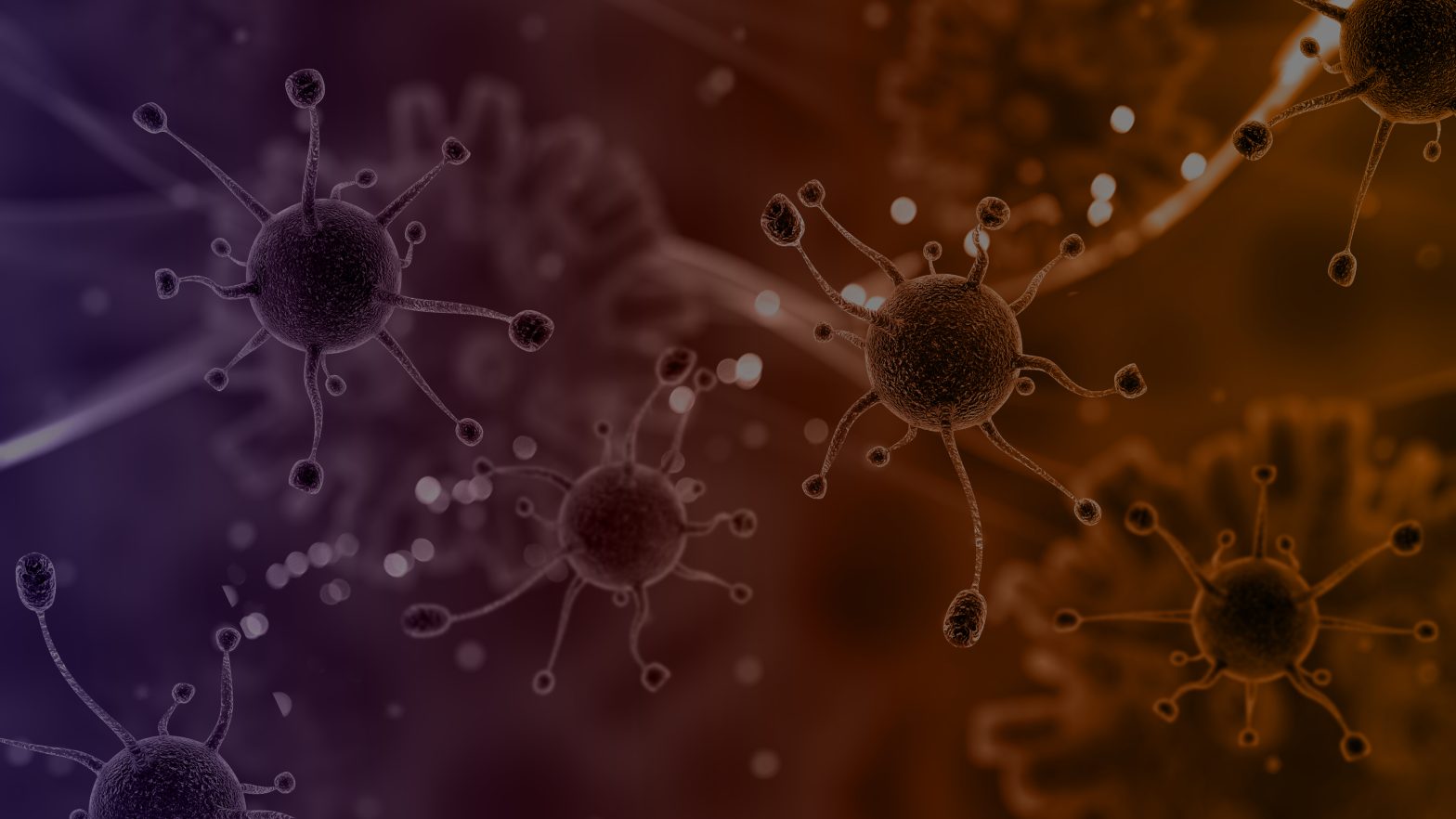 Corona virus particles zoomed in