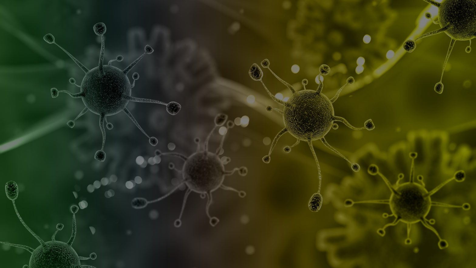 Virus vaccine dilemma