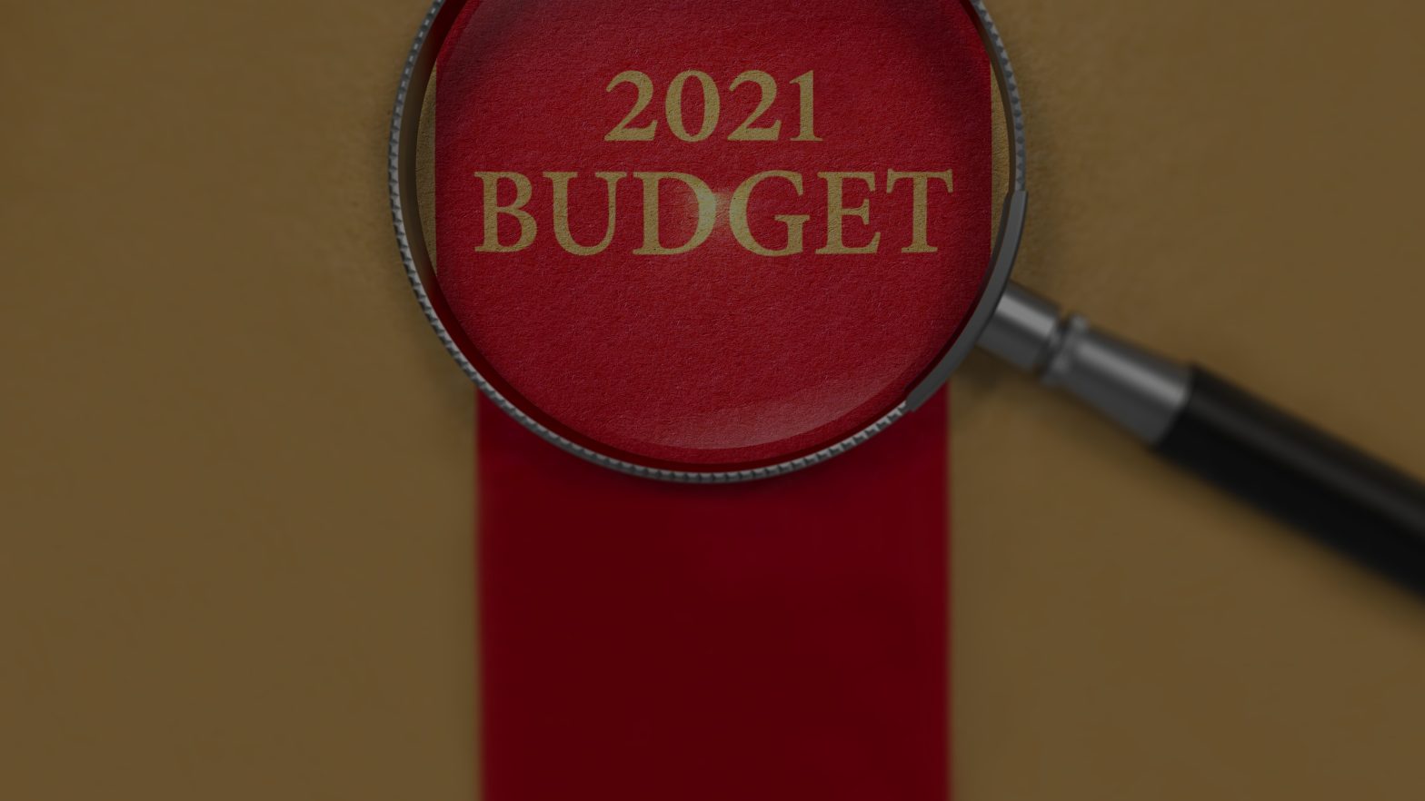 2021 budget
